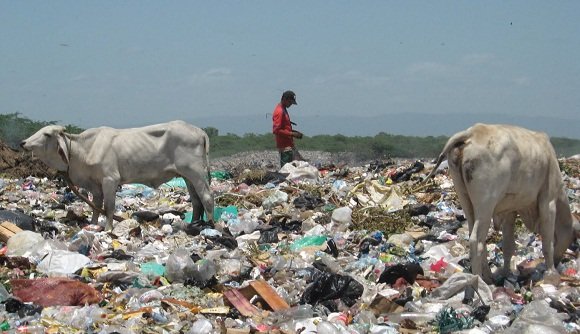 People living off a landfill